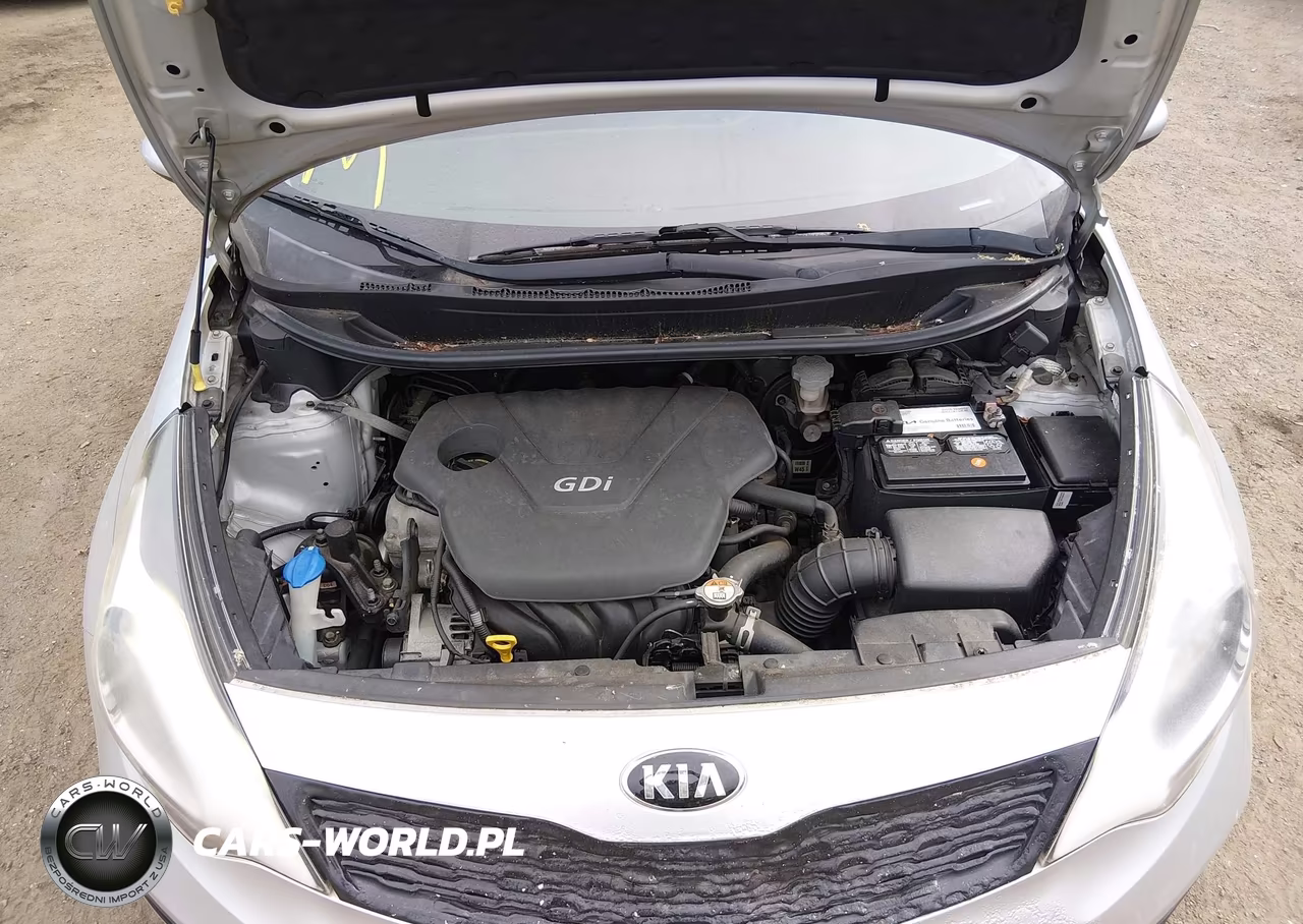2014 Kia Rio Lx VIN:KNADM4A31E6419059 - 10