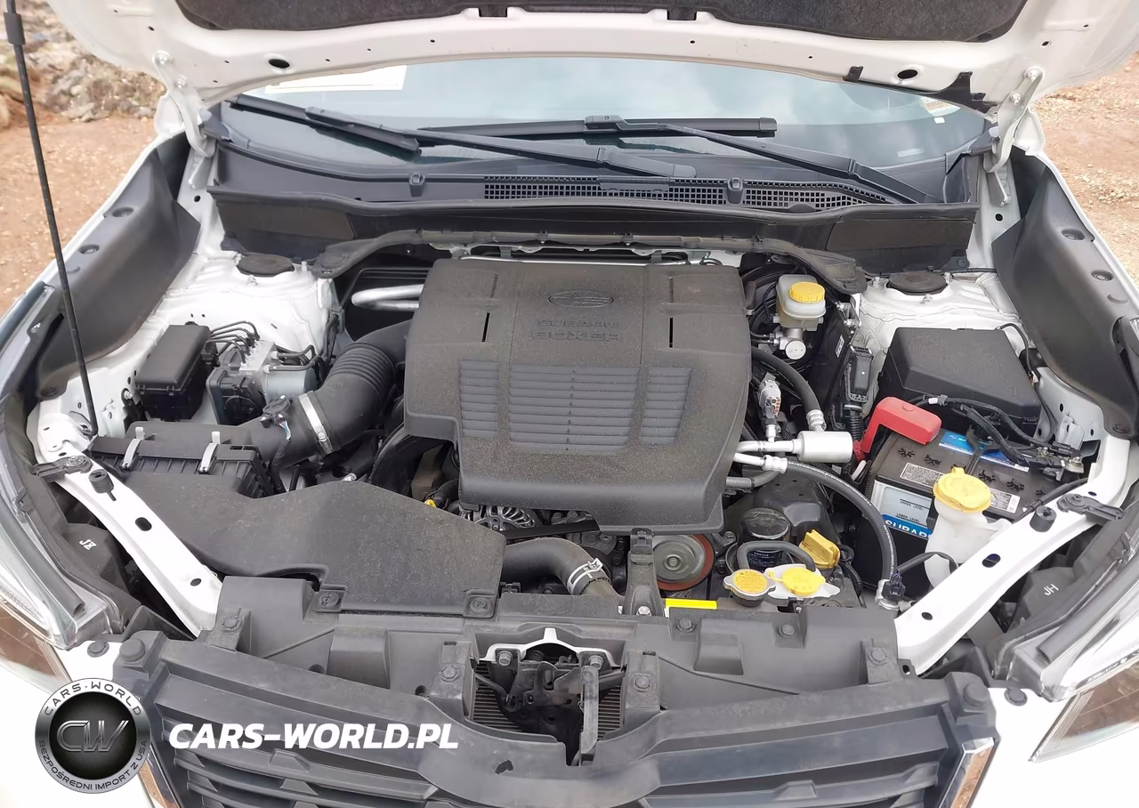 2019 Subaru Forester Limited VIN:JF2SKASC2KH424866 - 10