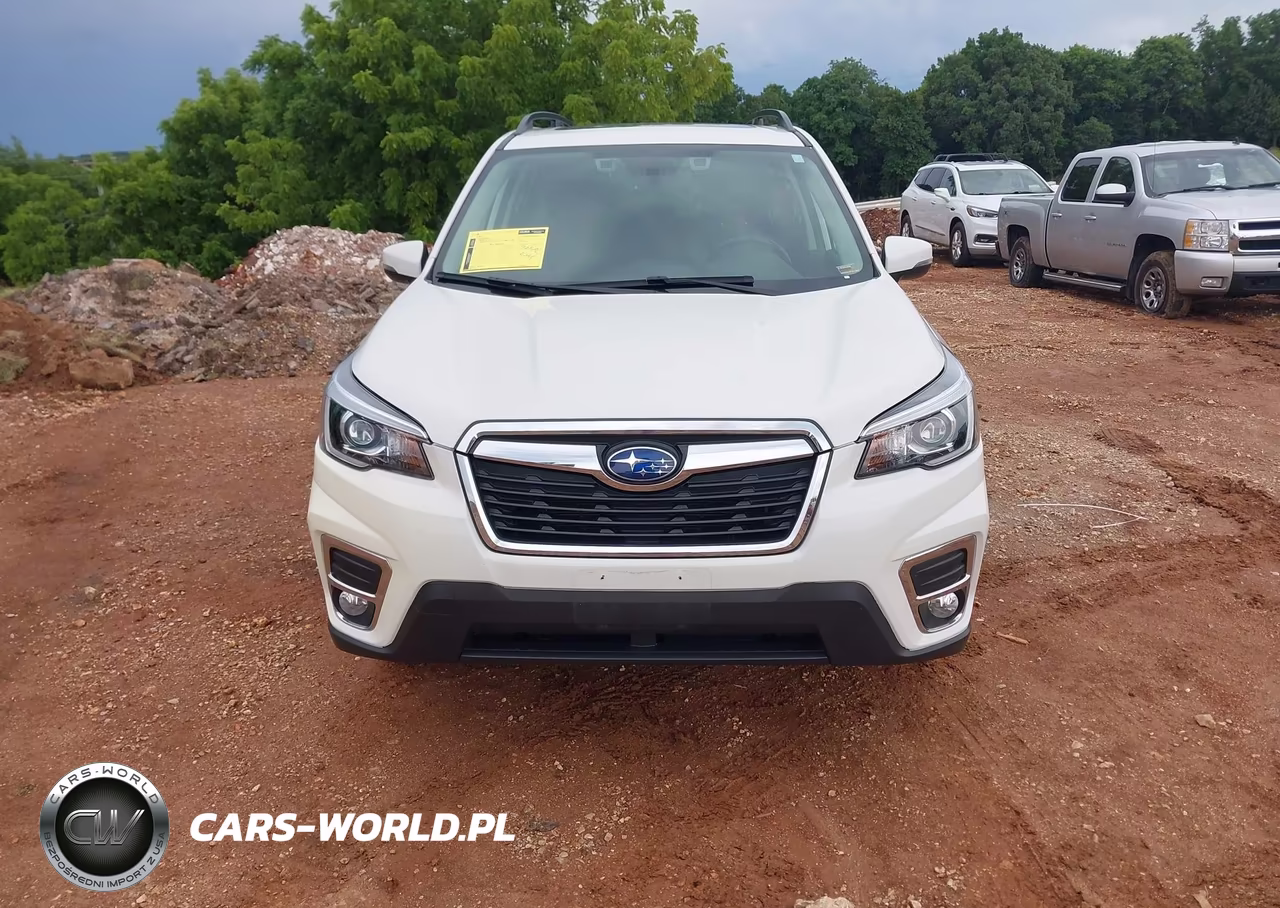 2019 Subaru Forester Limited VIN:JF2SKASC2KH424866 - 13