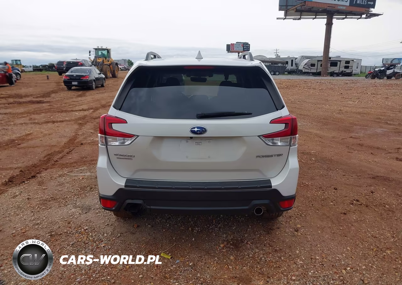 2019 Subaru Forester Limited VIN:JF2SKASC2KH424866 - 17