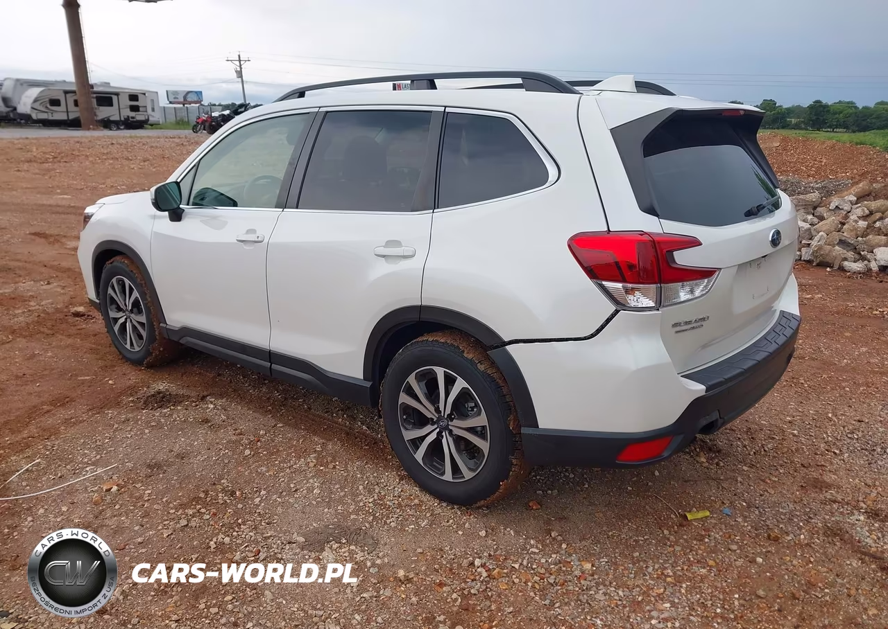 2019 Subaru Forester Limited VIN:JF2SKASC2KH424866 - 3