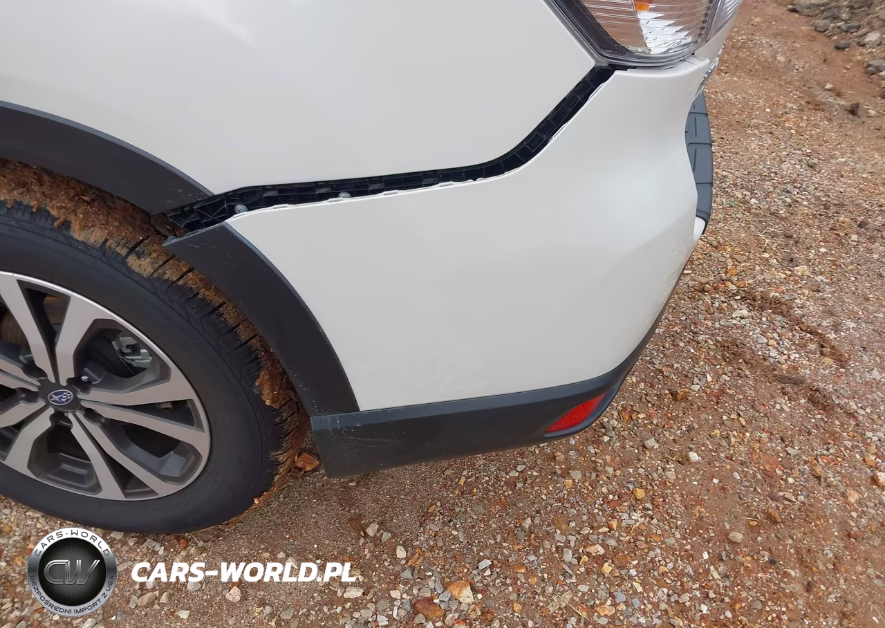 2019 Subaru Forester Limited VIN:JF2SKASC2KH424866 - 6