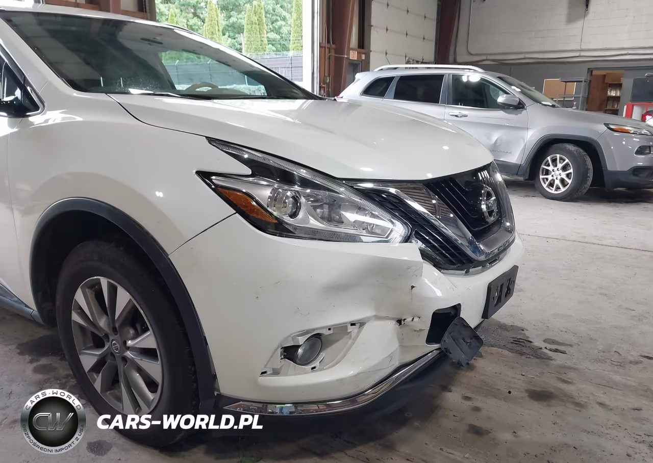 2015 Nissan Murano Sv VIN:5N1AZ2MH7FN291299 - 19