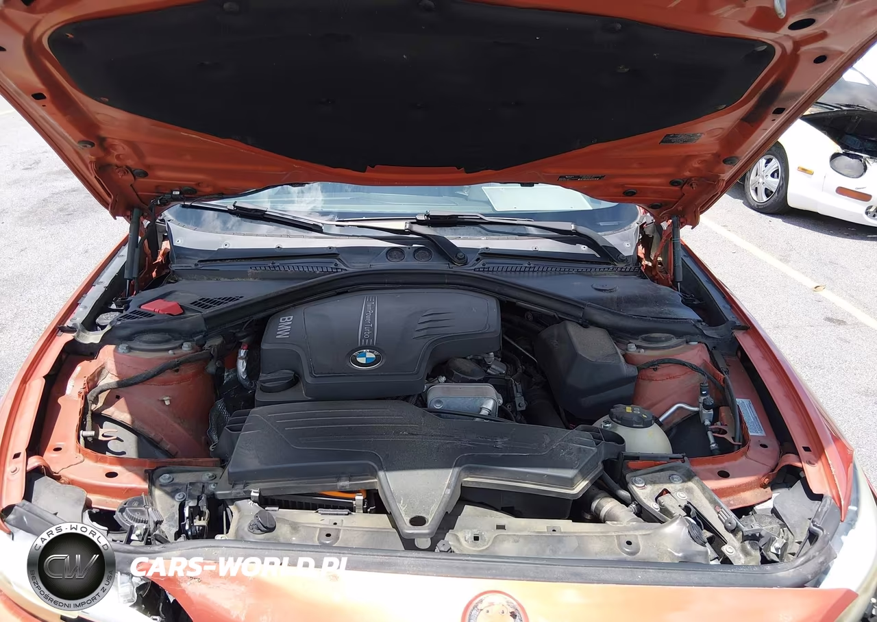 2014 BMW 228I VIN:WBA1F5C57EV255257 - 10