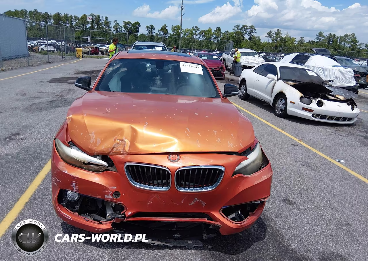 2014 BMW 228I VIN:WBA1F5C57EV255257 - 12
