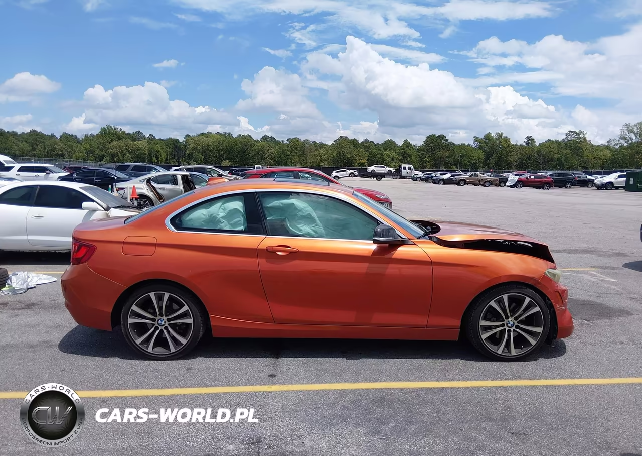 2014 BMW 228I VIN:WBA1F5C57EV255257 - 13