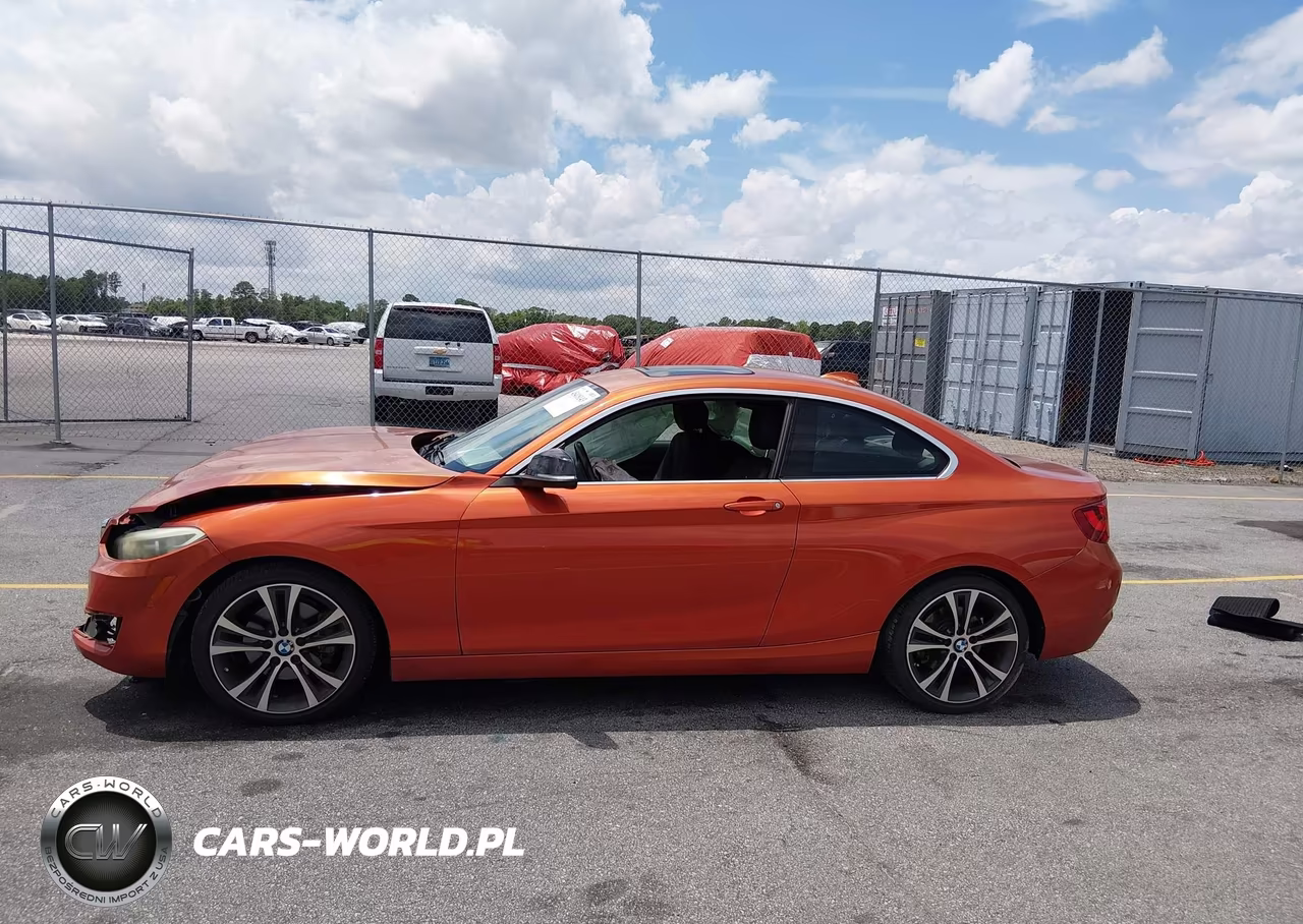 2014 BMW 228I VIN:WBA1F5C57EV255257 - 14