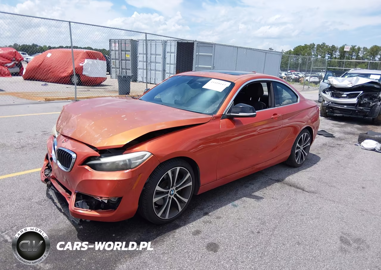 2014 BMW 228I VIN:WBA1F5C57EV255257 - 2