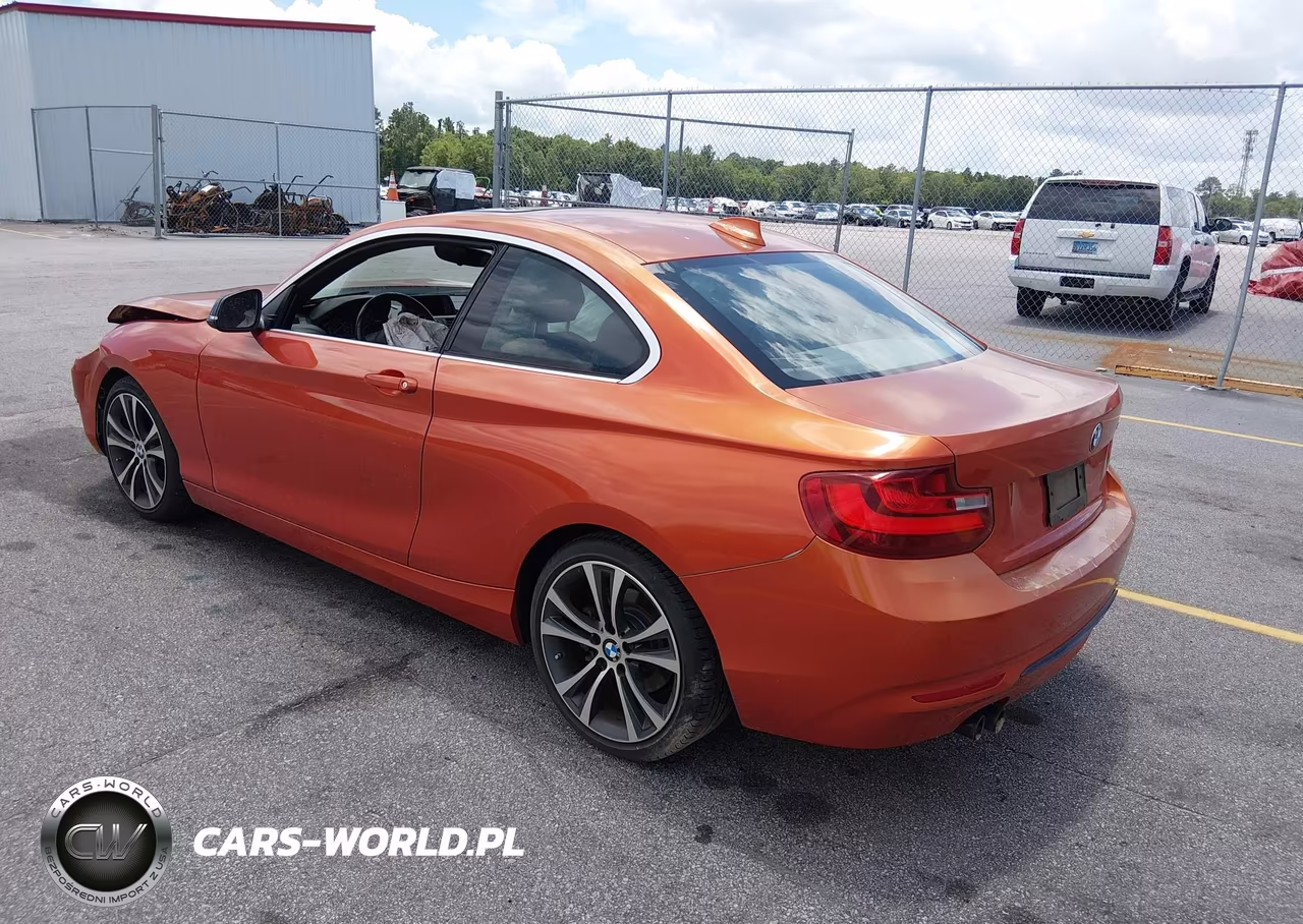 2014 BMW 228I VIN:WBA1F5C57EV255257 - 3