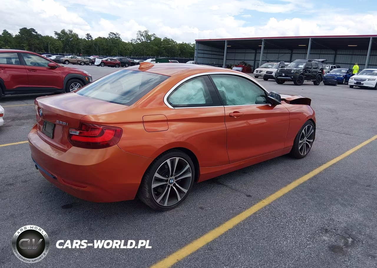 2014 BMW 228I VIN:WBA1F5C57EV255257 - 4