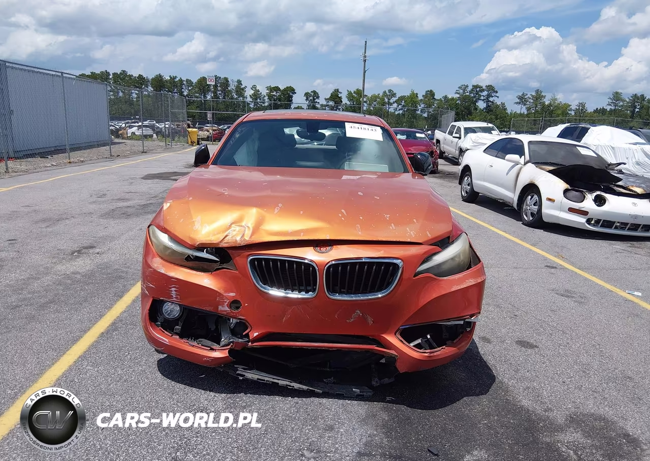 2014 BMW 228I VIN:WBA1F5C57EV255257 - 6