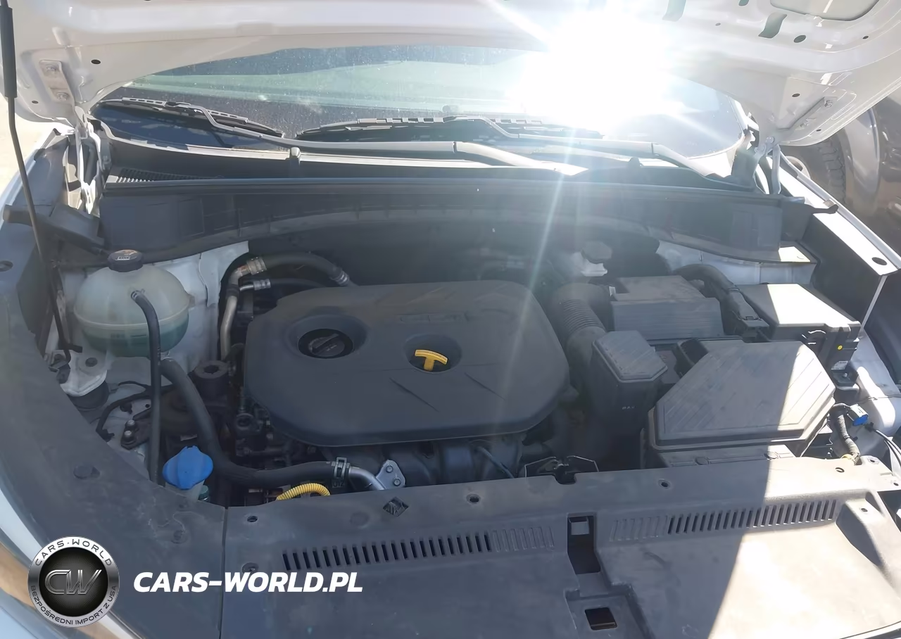 2017 Hyundai Tucson Se VIN:KM8J33A49HU278099 - 10