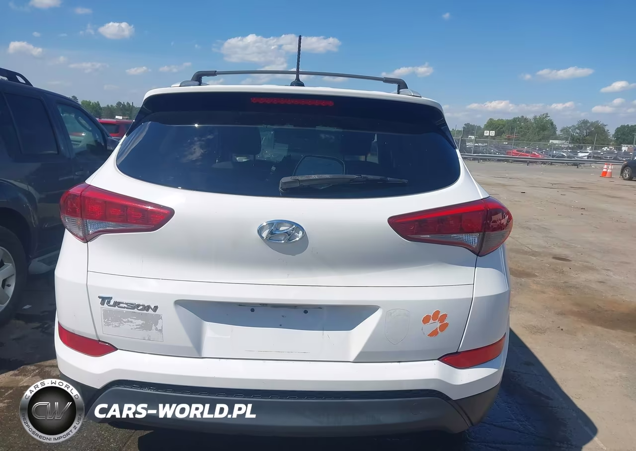 2017 Hyundai Tucson Se VIN:KM8J33A49HU278099 - 17