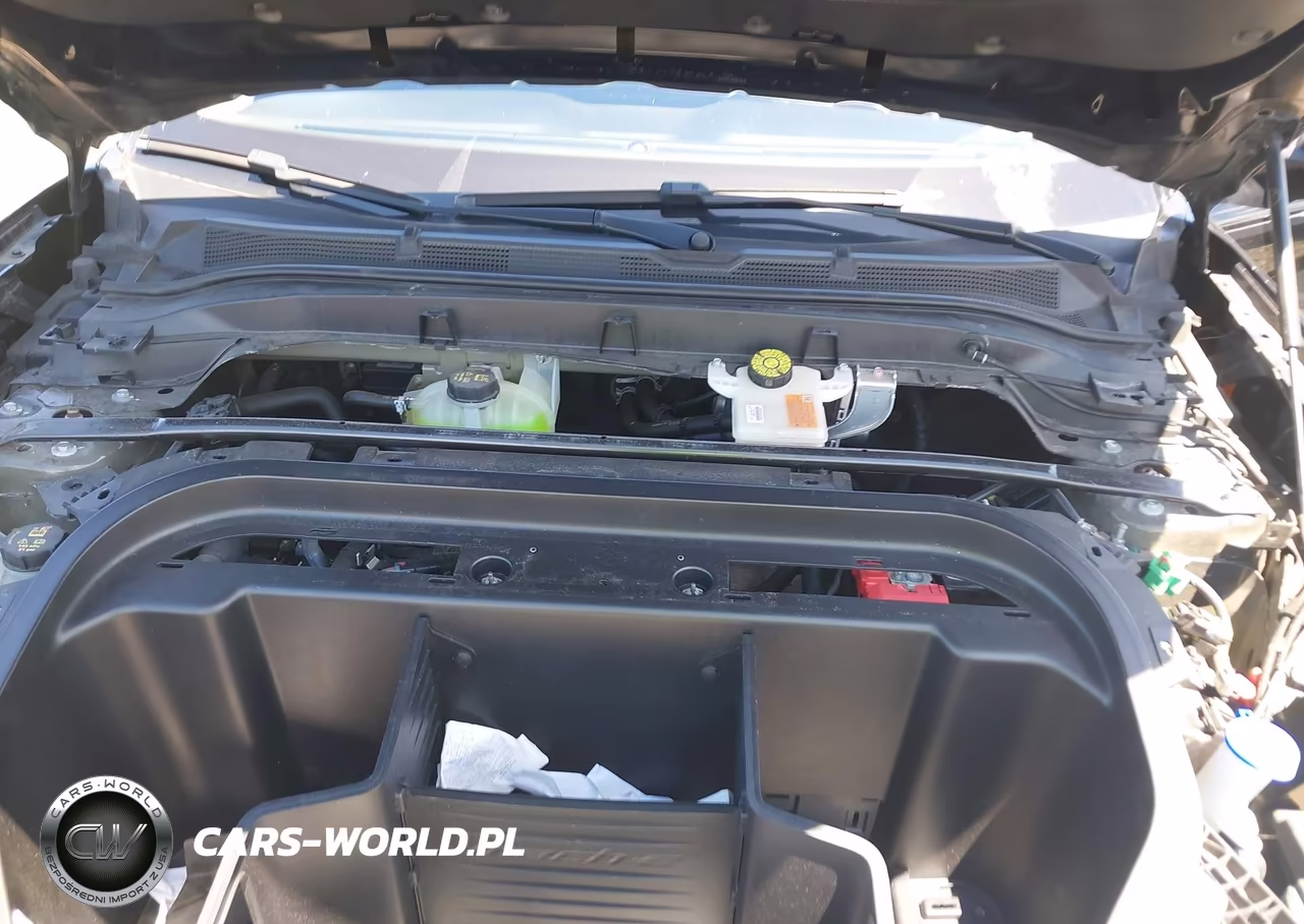 2021 Ford Mustang Mach-E Premium VIN:3FMTK3R78MMA02439 - 10