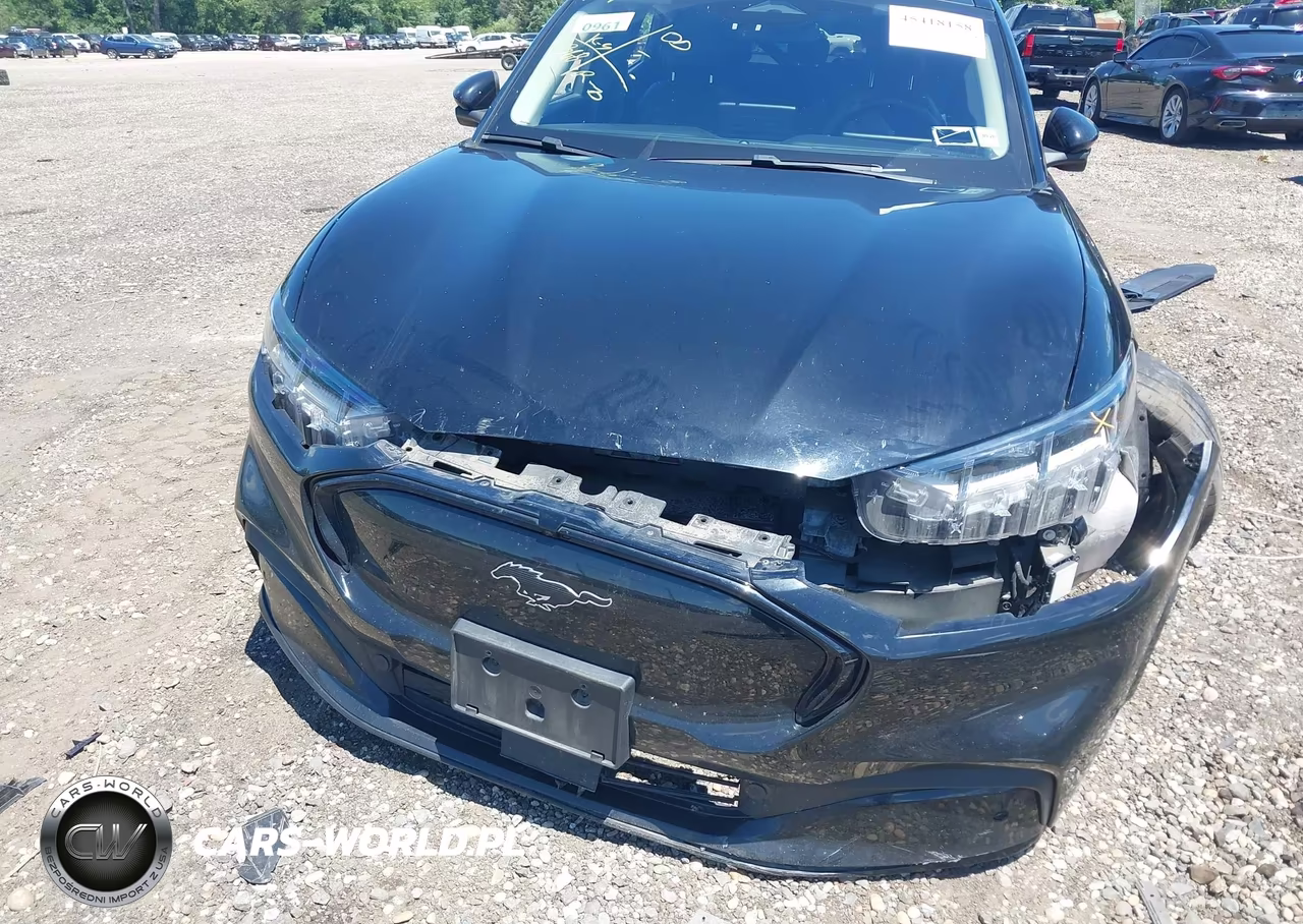 2021 Ford Mustang Mach-E Premium VIN:3FMTK3R78MMA02439 - 12