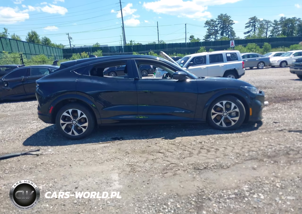2021 Ford Mustang Mach-E Premium VIN:3FMTK3R78MMA02439 - 13