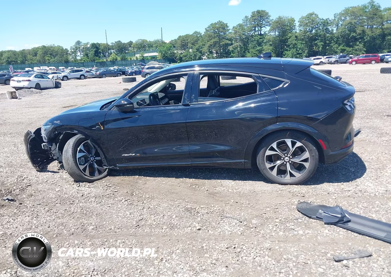 2021 Ford Mustang Mach-E Premium VIN:3FMTK3R78MMA02439 - 14