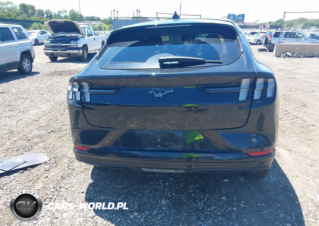 2021 Ford Mustang Mach-E Premium VIN:3FMTK3R78MMA02439 - 16