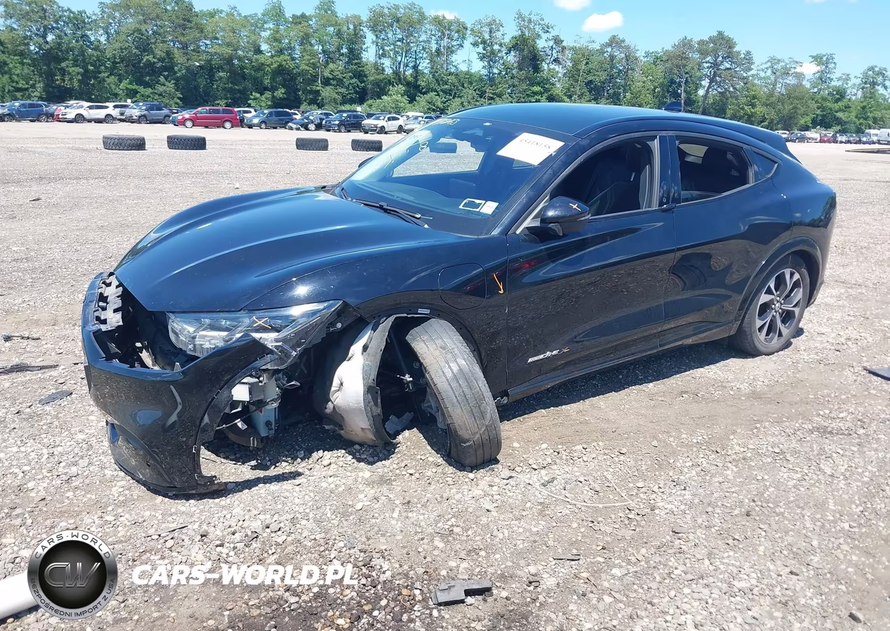 2021 Ford Mustang Mach-E Premium VIN:3FMTK3R78MMA02439 - 2