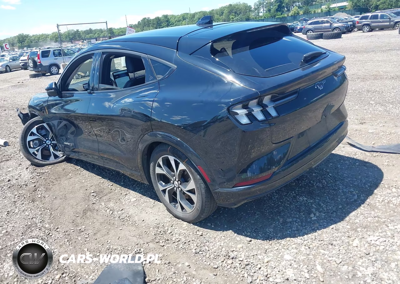 2021 Ford Mustang Mach-E Premium VIN:3FMTK3R78MMA02439 - 3