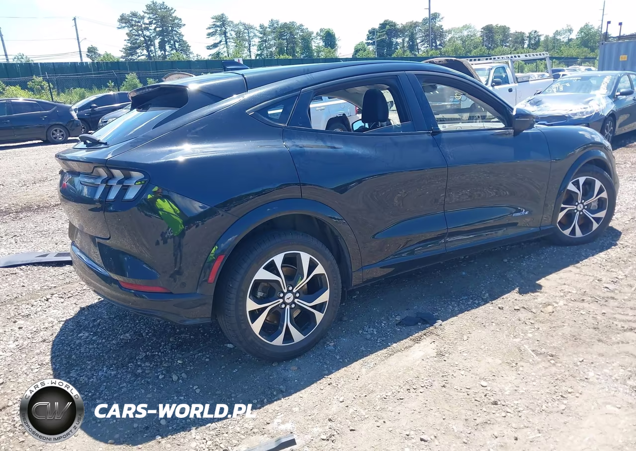 2021 Ford Mustang Mach-E Premium VIN:3FMTK3R78MMA02439 - 4