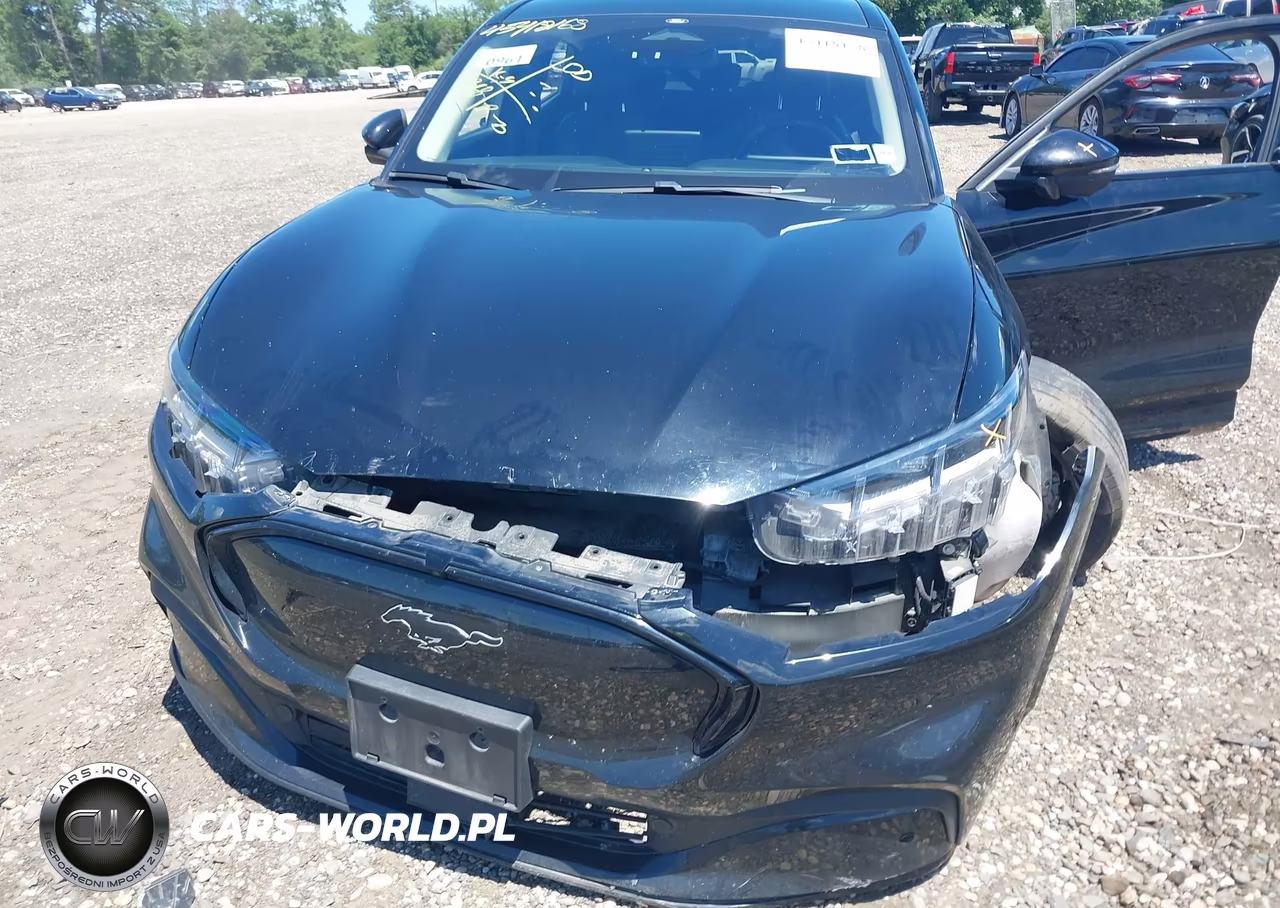 2021 Ford Mustang Mach-E Premium VIN:3FMTK3R78MMA02439 - 6