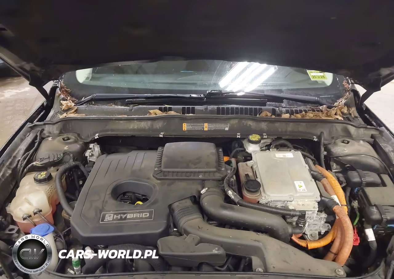 2018 Ford Fusion Hybrid Se VIN:3FA6P0LU5JR141416 - 10