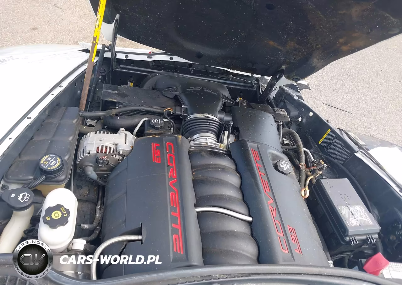 2010 Chevrolet Corvette VIN:1G1YG3DW1A5108316 - 10