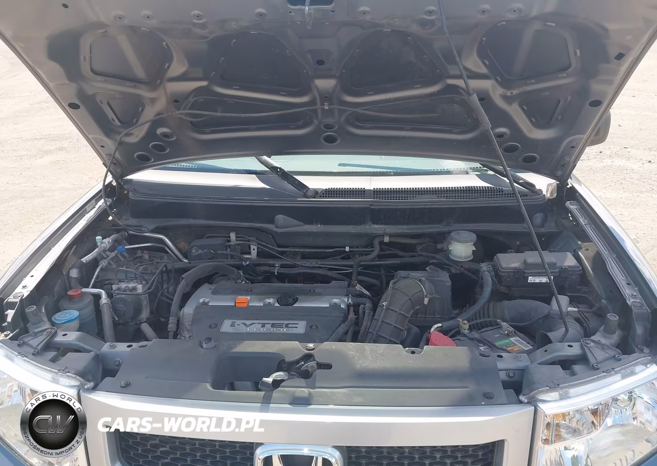 2009 Honda Element Ex VIN:5J6YH28799L000531 - 10