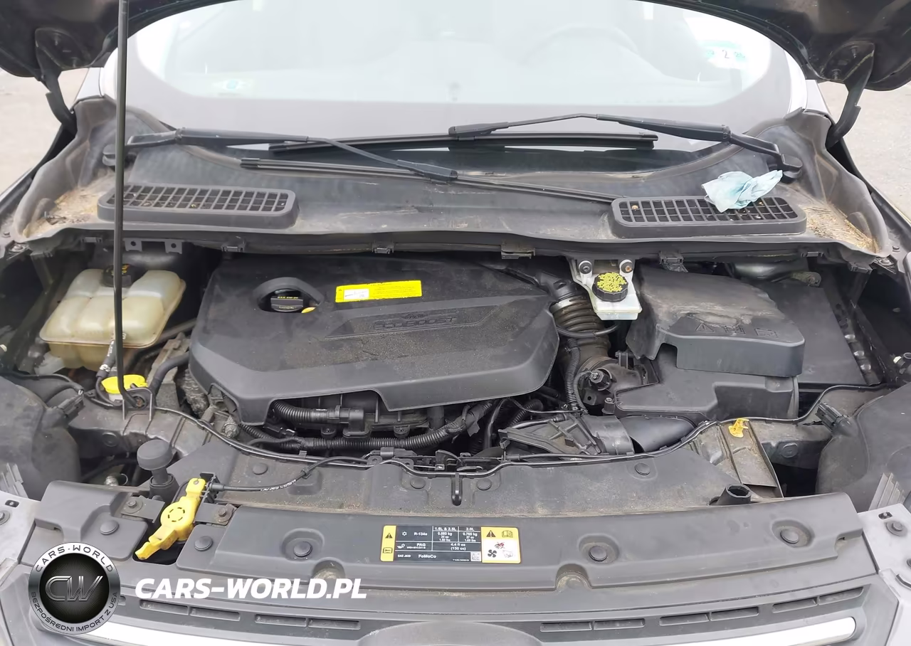 2016 Ford Escape Se VIN:1FMCU9GX4GUC48890 - 10