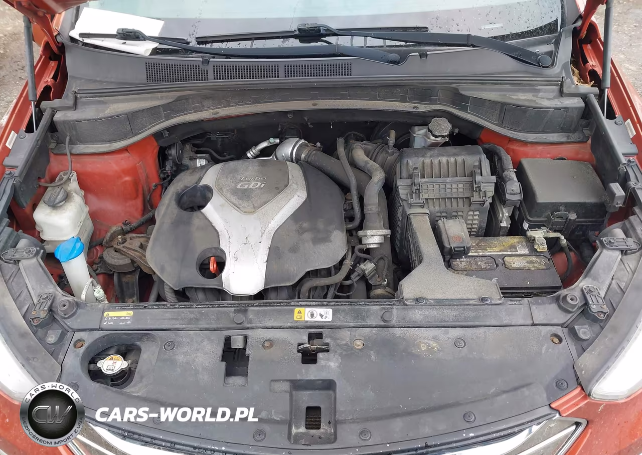 2014 Hyundai Santa Fe Sport 2.0L Turbo VIN:5XYZUDLA9EG217264 - 10