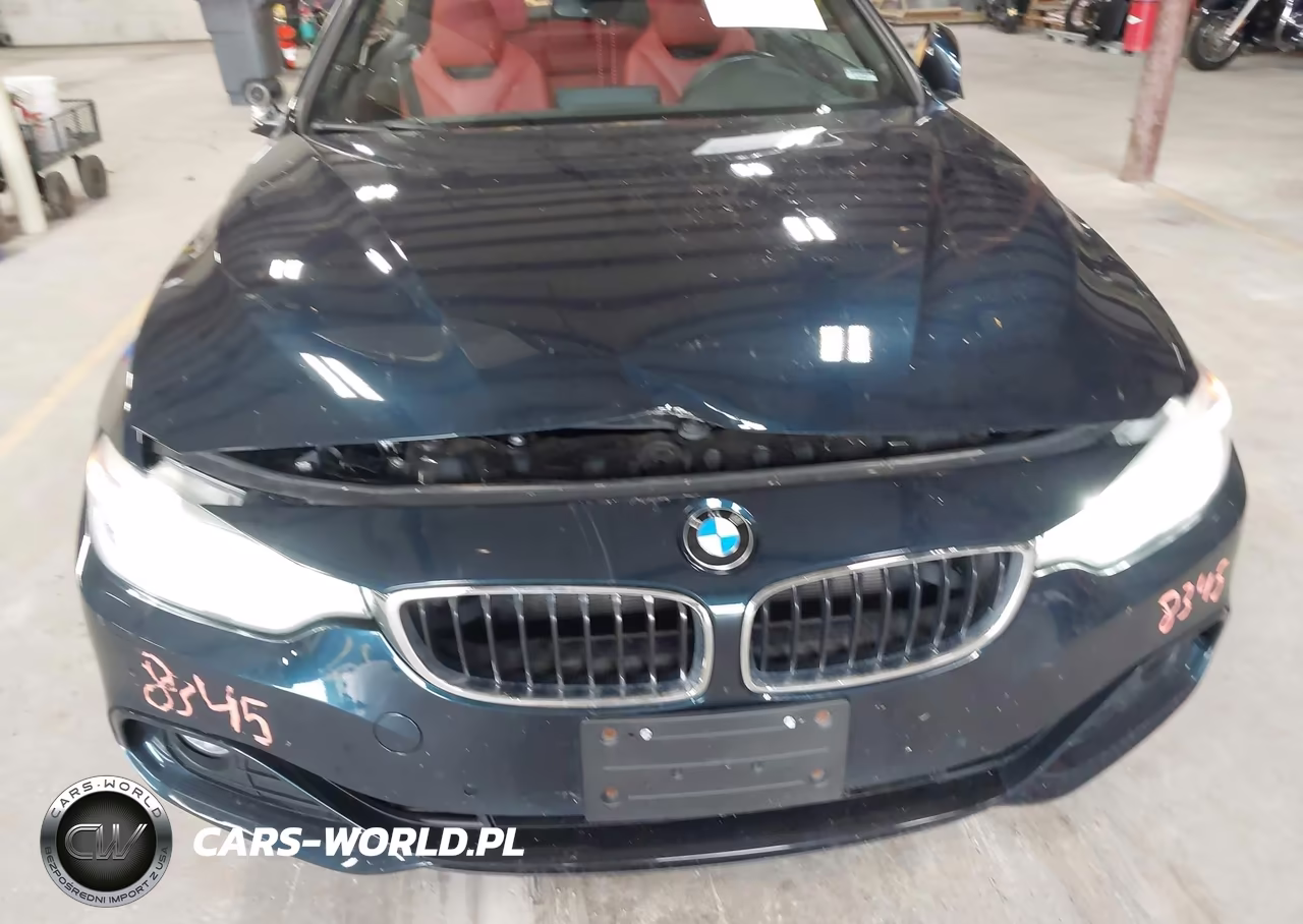 2017 BMW 430I xDrive VIN:WBA4U9C36H5H63946 - 17