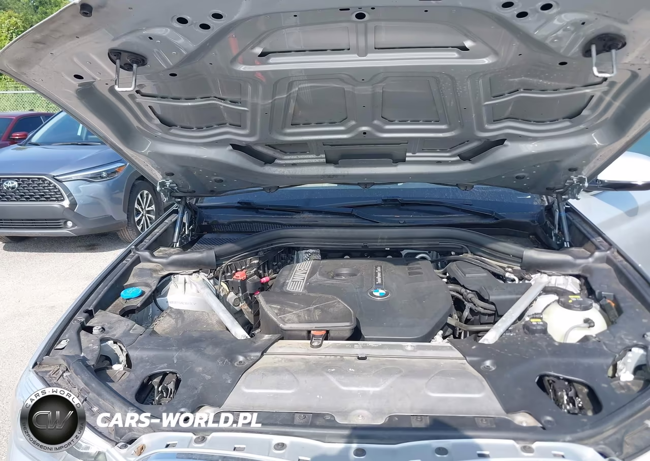 2019 BMW X3 Sdrive30I VIN:5UXTR7C50KLR46702 - 10