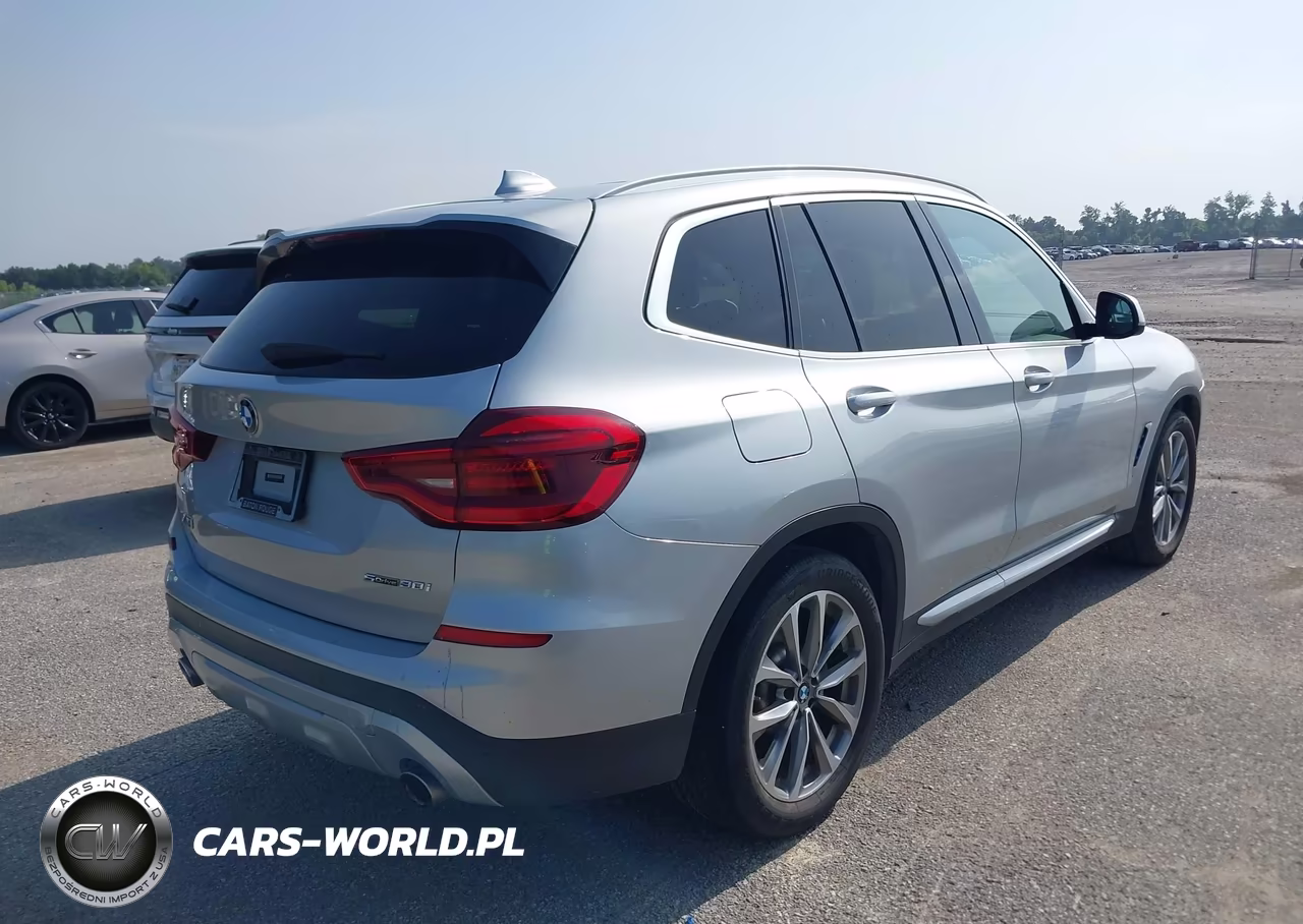 2019 BMW X3 Sdrive30I VIN:5UXTR7C50KLR46702 - 4