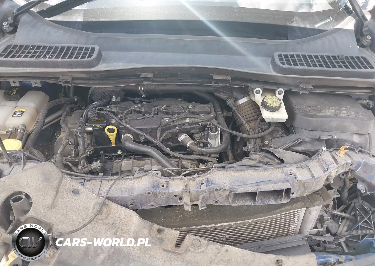 2013 Ford Escape Sel VIN:1FMCU0HX8DUB08430 - 10
