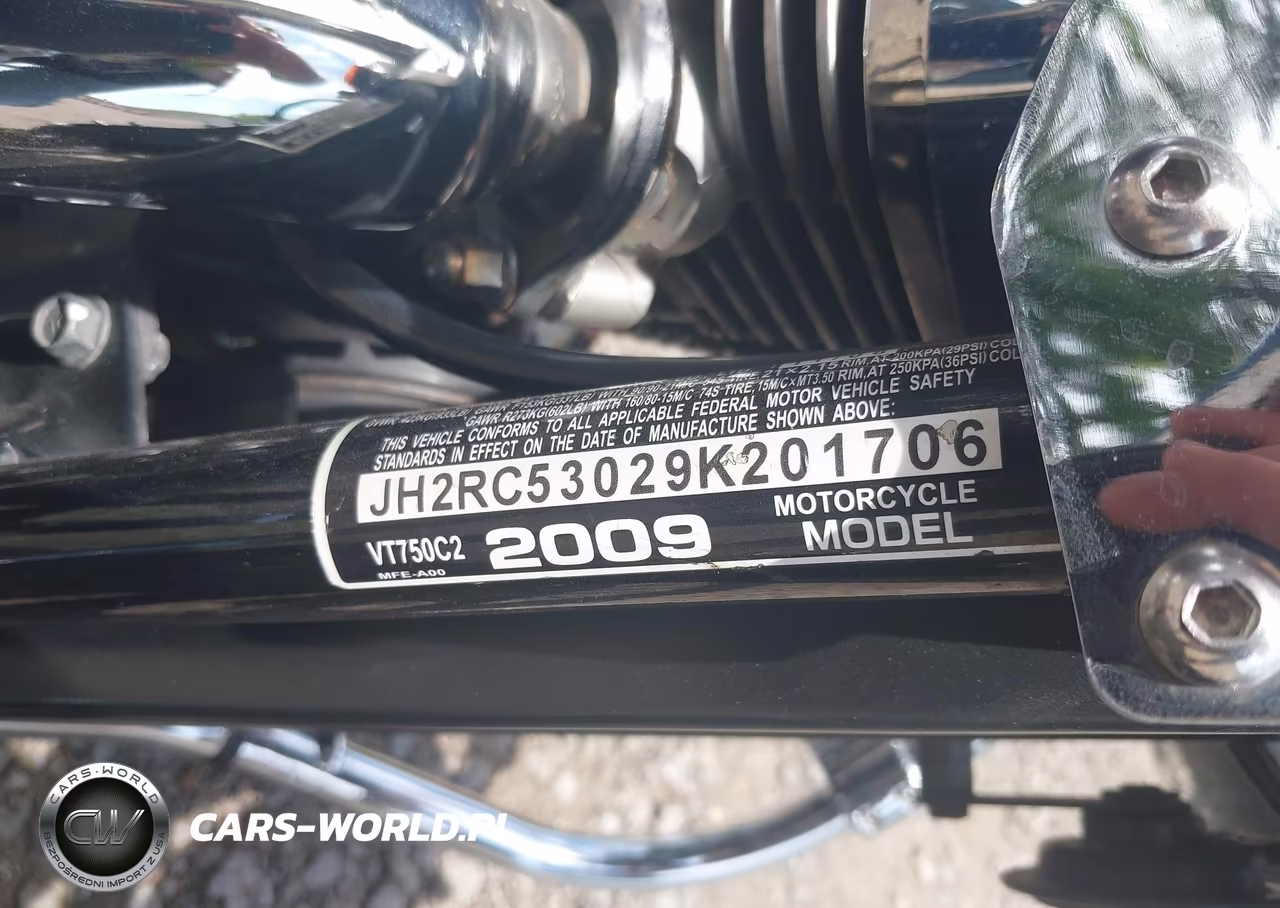 2009 Honda Vt750 C2 VIN:JH2RC53029K201706 - 10