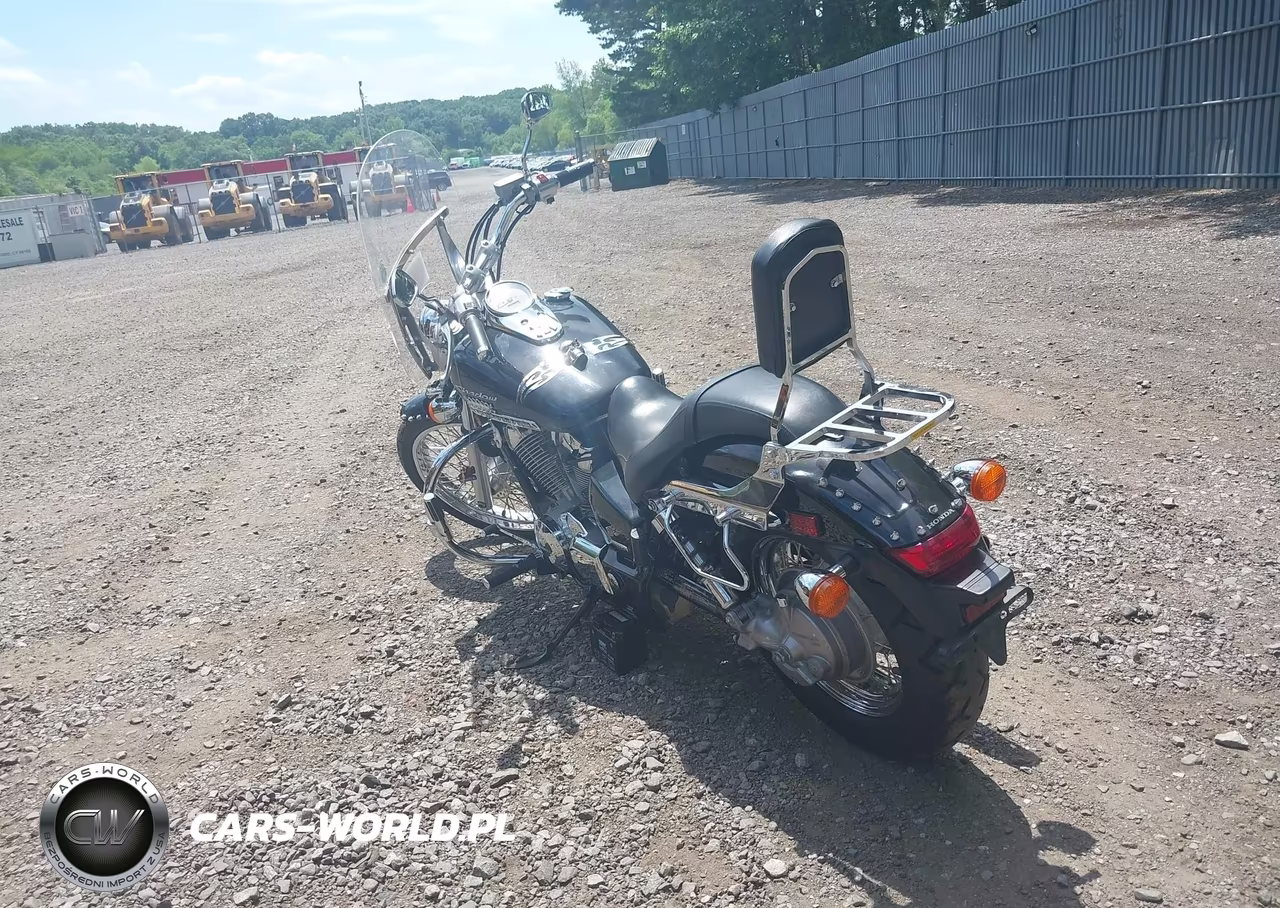 2009 Honda Vt750 C2 VIN:JH2RC53029K201706 - 3
