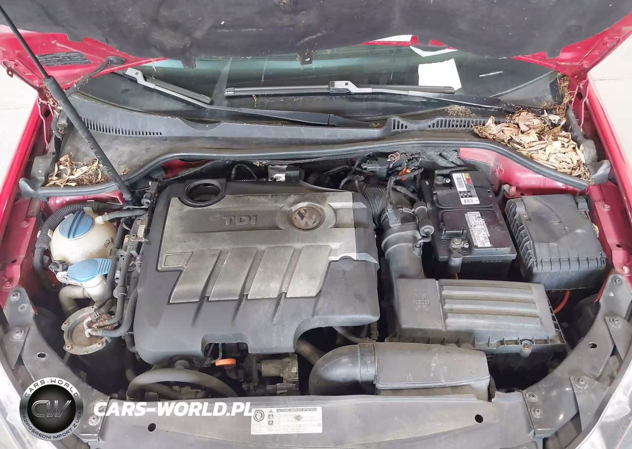 2011 Volkswagen Jetta Sportwagen 2.0L Tdi VIN:3VWPL7AJ8BM695475 - 10