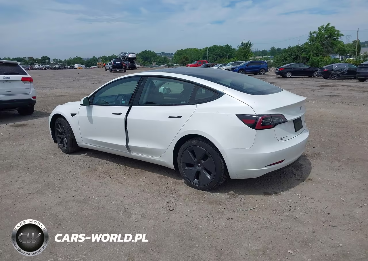 2021 Tesla Model 3 Long Range VIN:5YJ3E1EB7MF054854 - 3