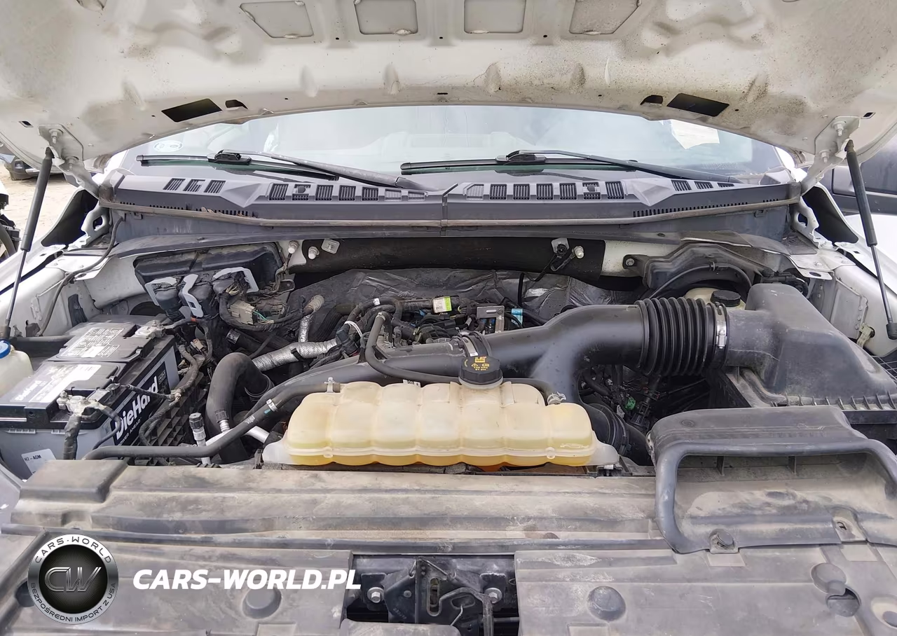 2019 Ford F-150 Xl VIN:1FTEW1EP5KKC08396 - 10