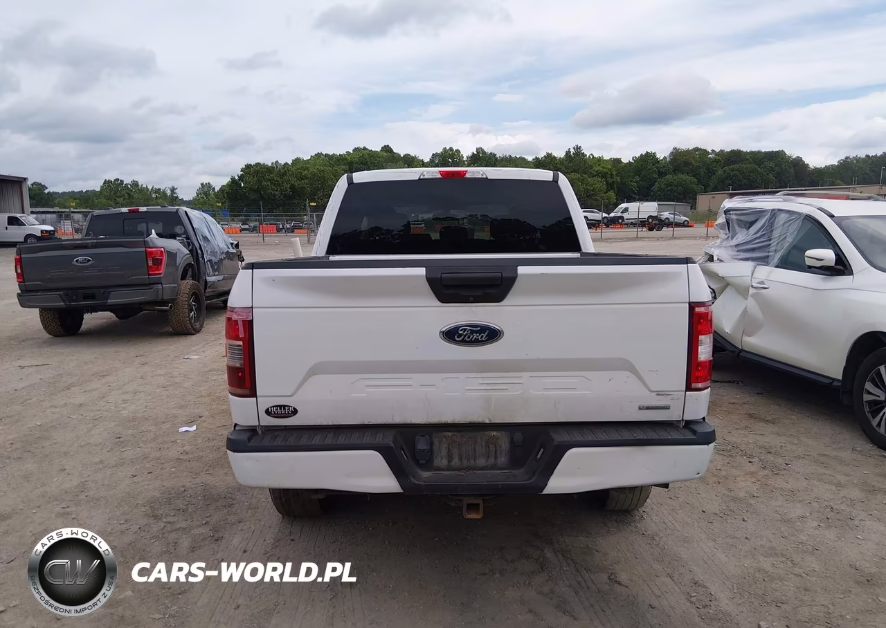 2019 Ford F-150 Xl VIN:1FTEW1EP5KKC08396 - 16