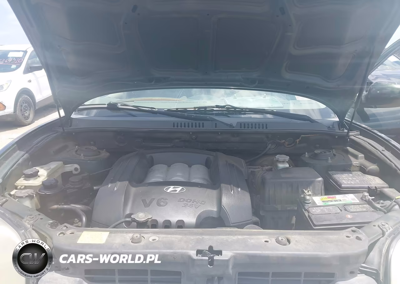 2006 Hyundai Santa Fe Gls VIN:KM8SC13D36U111479 - 10