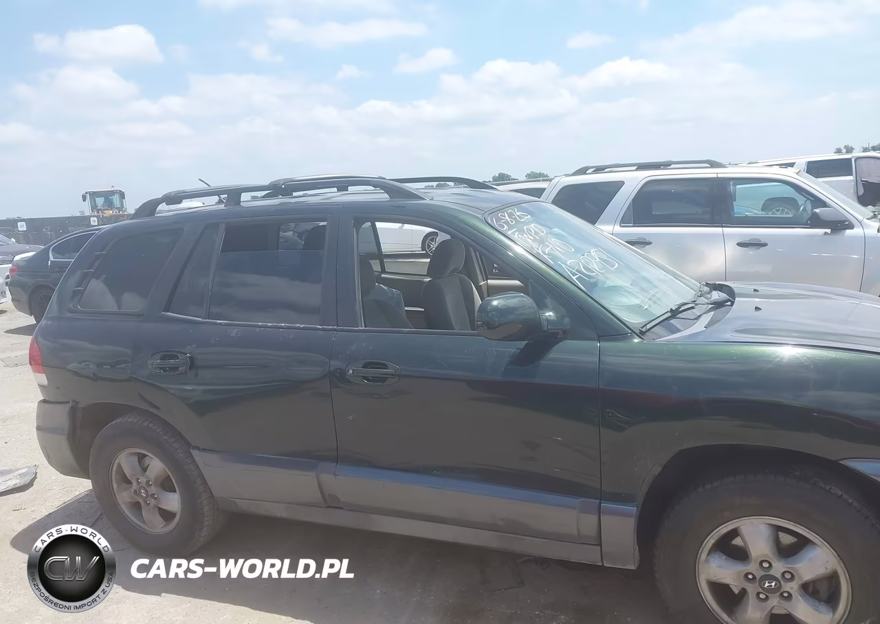2006 Hyundai Santa Fe Gls VIN:KM8SC13D36U111479 - 12