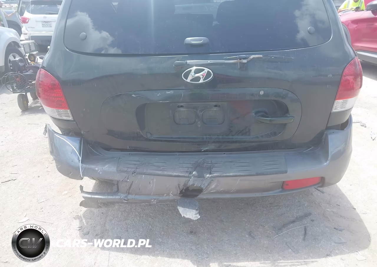 2006 Hyundai Santa Fe Gls VIN:KM8SC13D36U111479 - 6