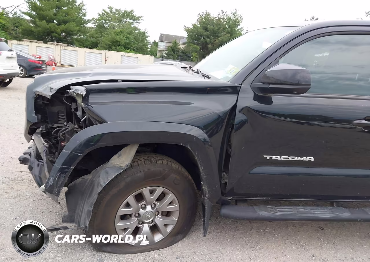 2017 Toyota Tacoma Sr5 V6 VIN:5TFSZ5AN2HX099302 - 17