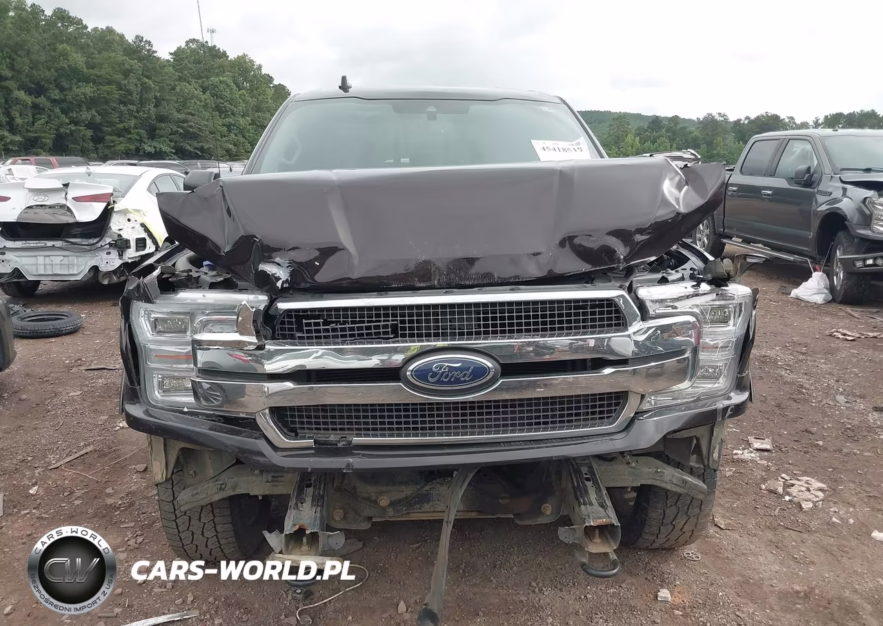 2019 Ford F-150 King Ranch-Lariat-Platinum-Xl-Xlt VIN:1FTEW1E59KFA52757 - 13