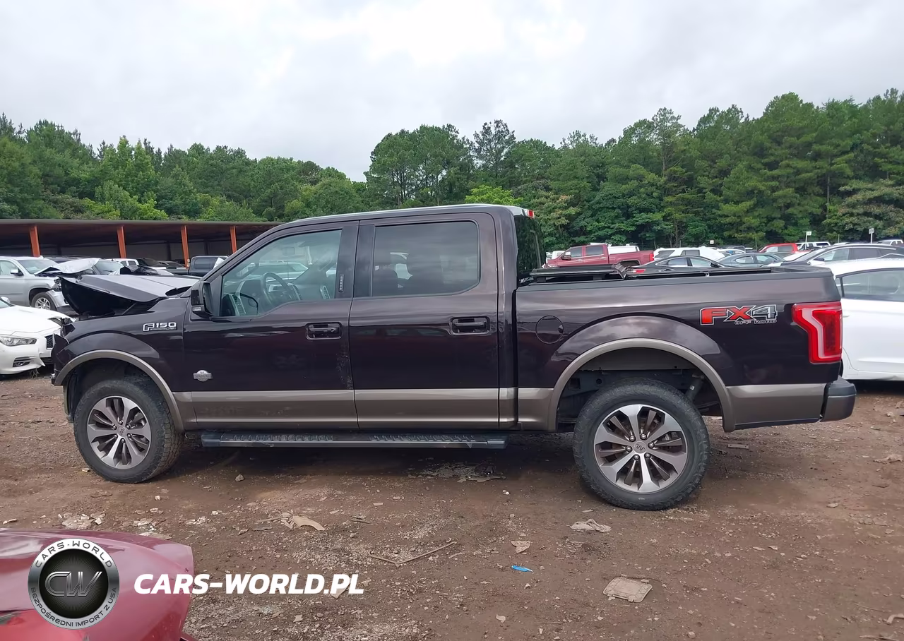 2019 Ford F-150 King Ranch-Lariat-Platinum-Xl-Xlt VIN:1FTEW1E59KFA52757 - 15