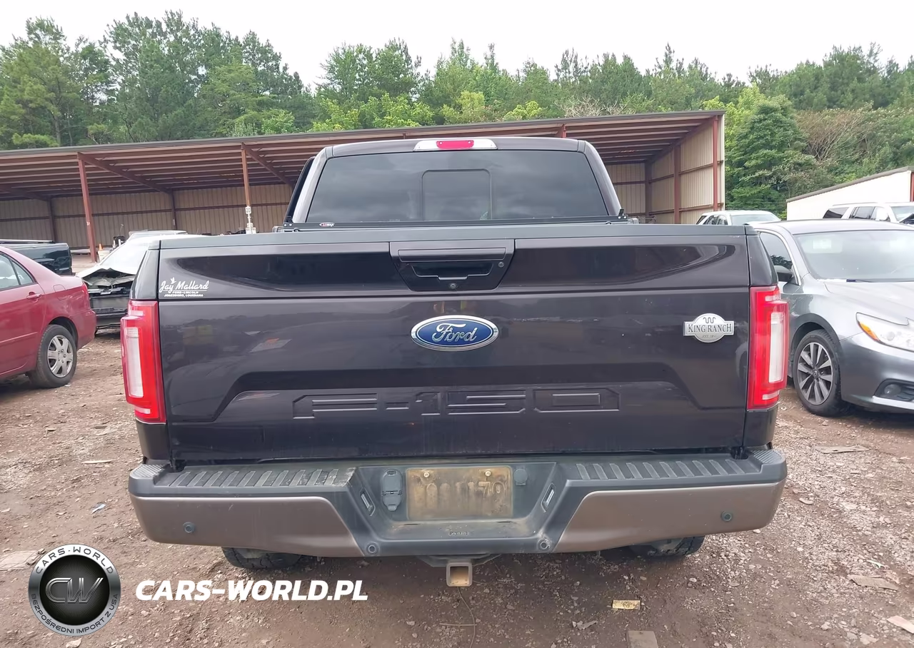 2019 Ford F-150 King Ranch-Lariat-Platinum-Xl-Xlt VIN:1FTEW1E59KFA52757 - 17