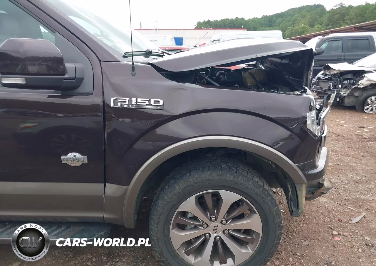 2019 Ford F-150 King Ranch-Lariat-Platinum-Xl-Xlt VIN:1FTEW1E59KFA52757 - 6