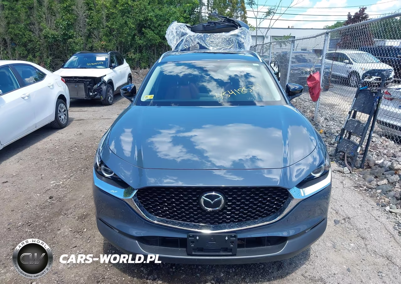 2024 Mazda Cx-30 2.5 S Carbon Edition VIN:3MVDMBCM3RM670022 - 12